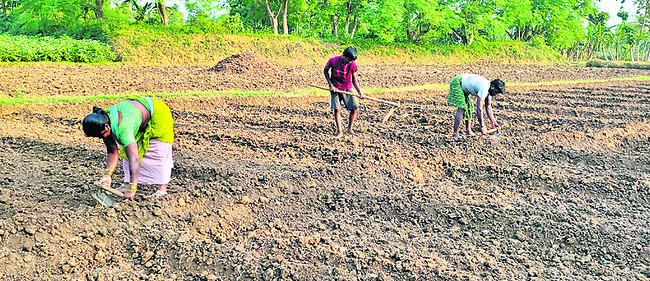 సాగుకు ముందస్తు సన్నద్ధం!2