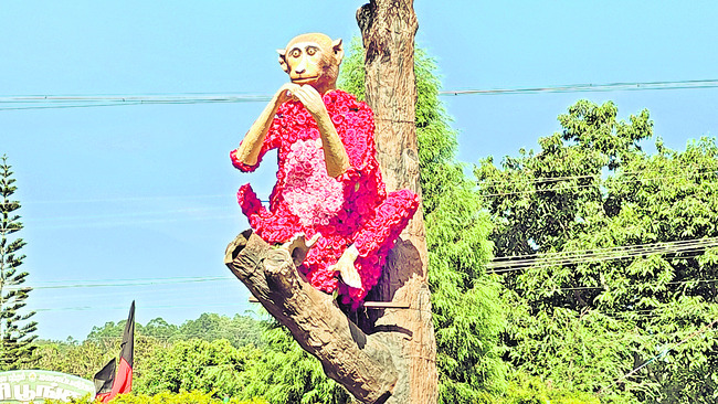 పేదలఊటీలో ఫ్లవర్‌ షో4