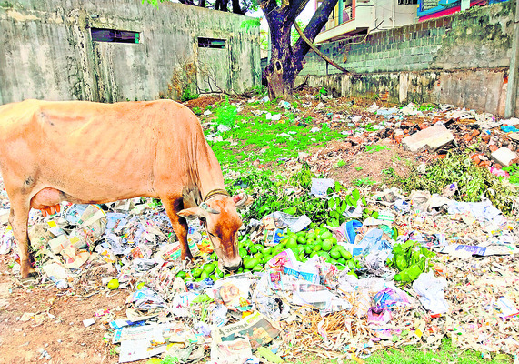 రుణాలకు ‘చంద్ర’గ్రహణం2