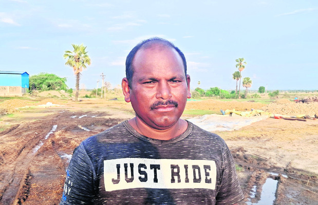 సజ్జ రైతును ముంచిన వాన 1