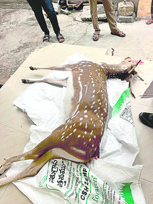 నేడు ఆలయ వార్షికోత్సవం 2