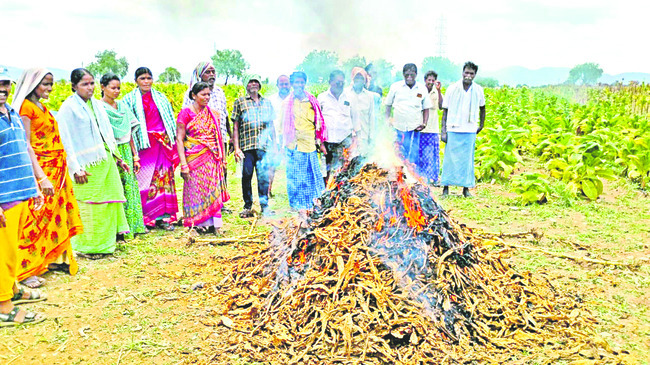 ధరల కాటు!1