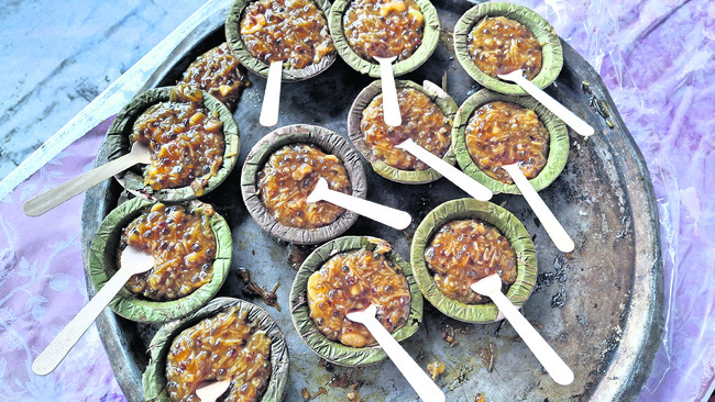 ప్రకృతి ప్రేమికుల విందు1