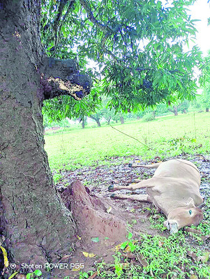 జల క్రీడల సమయంలో పడవ బోల్తా 2
