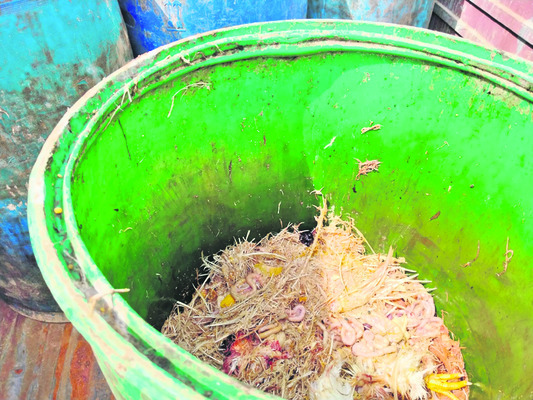 కోళ్ల వ్యర్థాలతో రూ.కోట్లు3