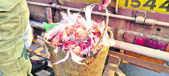 కోళ్ల వ్యర్థాలతో రూ.కోట్లు4