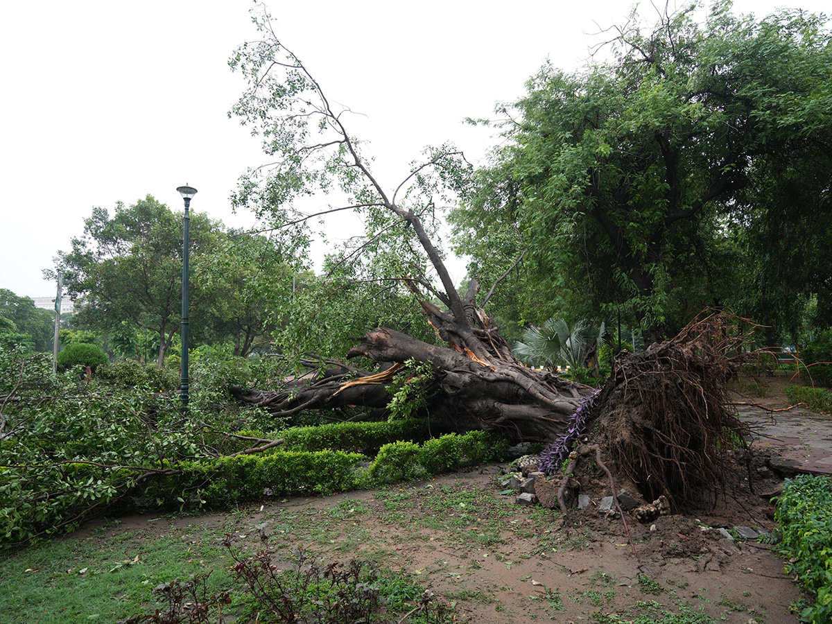 Heavy Rains in New Delhi Photos15