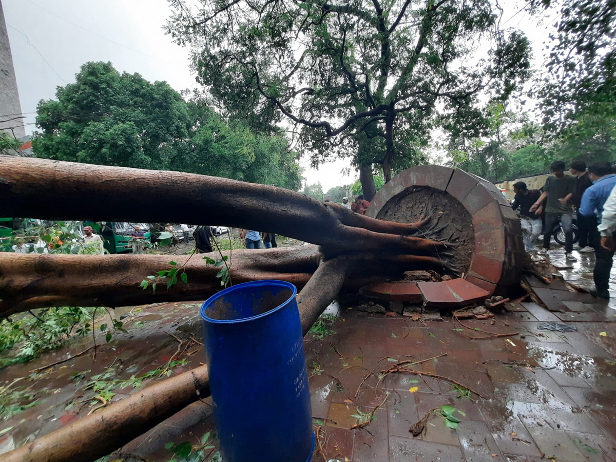Heavy Rains in New Delhi Photos9