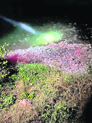 కోళ్ల వ్యర్థాలతో రూ.కోట్లు2