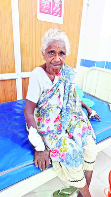 పిచ్చికుక్క స్వైర విహారం5