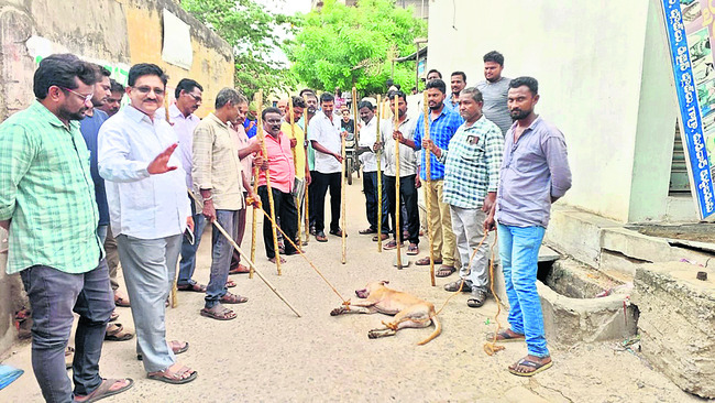 పిచ్చికుక్క స్వైర విహారం2