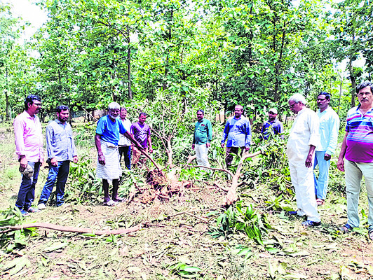 తల్లీకొడుకుల అదృశ్యం1