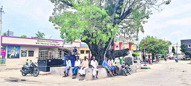 బహుదూరపు బాటసారులకు నీడ!1