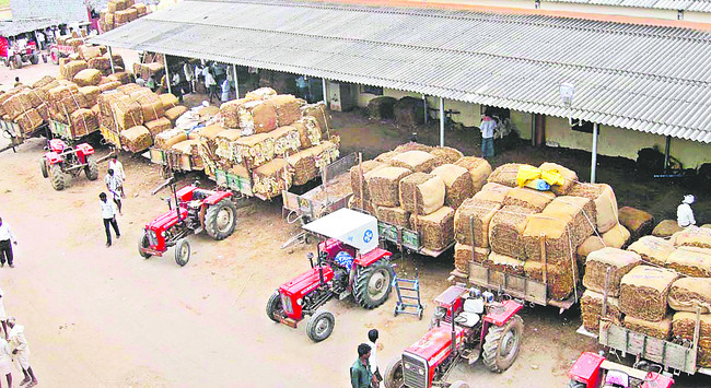 జీవితాలు కూలిపోయి 2