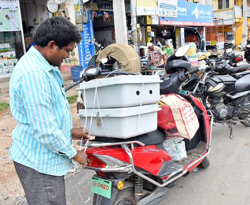 సాగు పనుల్లో రైతన్న బిజీ1