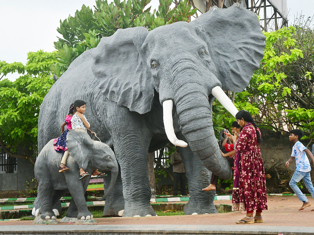 Beautiful Pinterest Drawings In Visakhapatnam Photos9