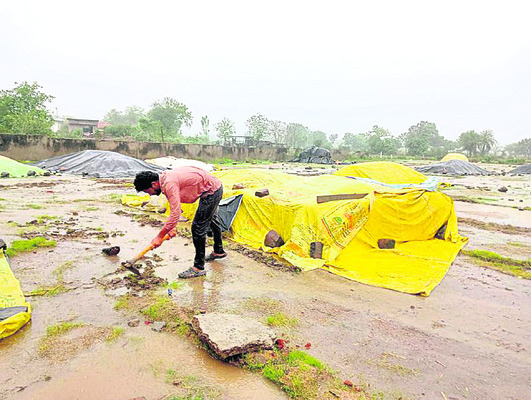 వానమ్మా.. జర ఆగమ్మా..!3