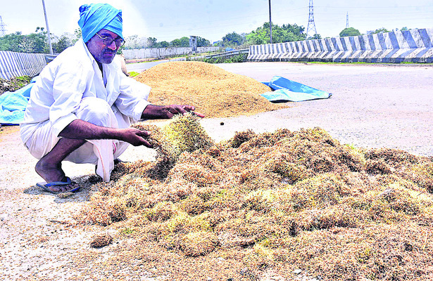 వానమ్మా.. జర ఆగమ్మా..!1