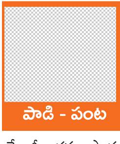 జీలుగ సాగుతో పంటలు బాగు 1