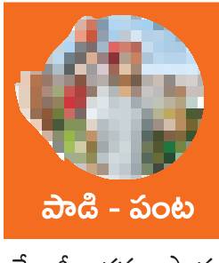 జీలుగ సాగుతో పంటలు బాగు 1