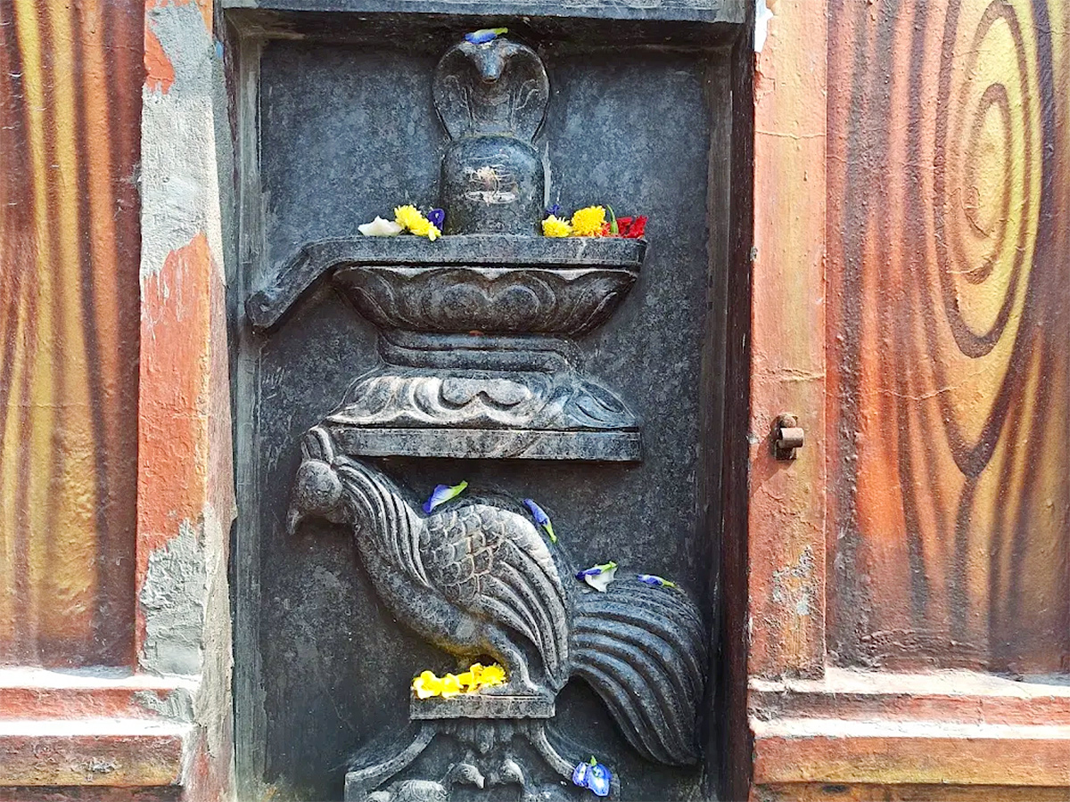 Sri Kukkuteswara Swamy Temple At Pitapuram Kakinada District3
