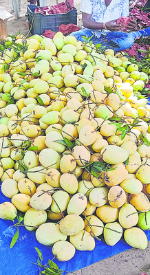 రుచి మధురం.. రైతుకు లాభం1