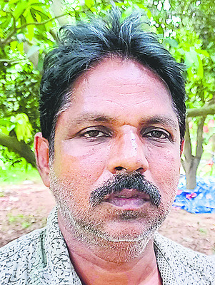రుచి మధురం.. రైతుకు లాభం4