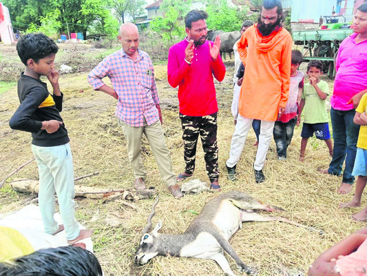 జాతీయ స్థాయి పోటీలకు క్రీడాకారుల ఎంపిక 1