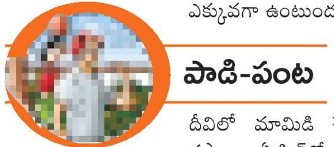 రుచి మధురం.. రైతుకు లాభం3