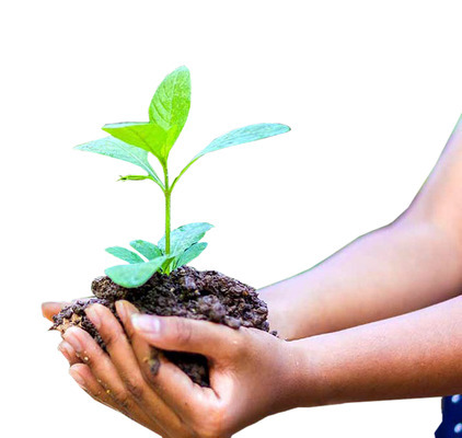 వన మహోత్సవానికి సన్నద్ధం1