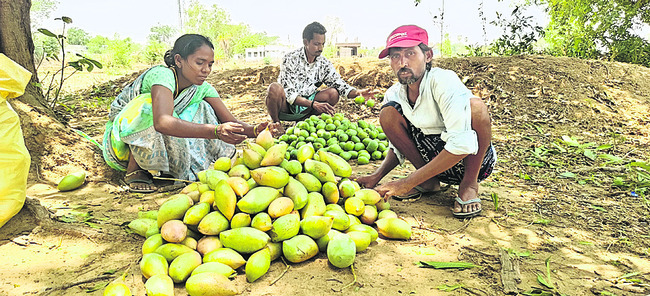 గాలి వాన బీభత్సం2