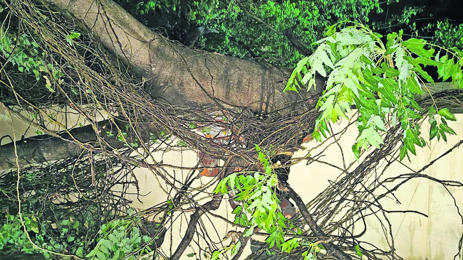 ఈదురుగాలులు, వడగండ్లు1