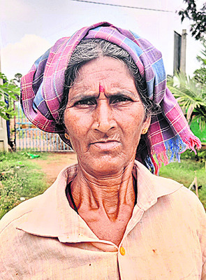 సరుగుడు నారు.. ఇవ్వండి సారూ.. 4