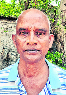 సరుగుడు నారు.. ఇవ్వండి సారూ.. 2