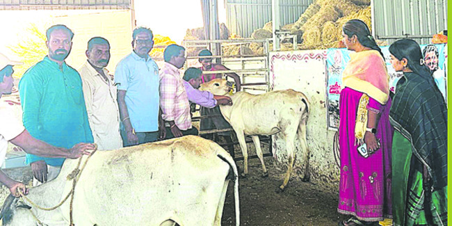 నీట్ పరీక్షకు పటిష్ట బందోబస్తు: ఎస్పీ
1
