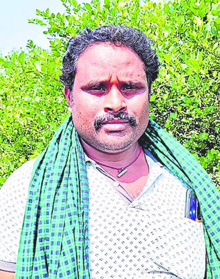 నిమ్మ రైతు కంట చెమ్మ4