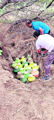 పెద్దపులి మృతిపై దర్యాప్తు ప్రారంభం 1