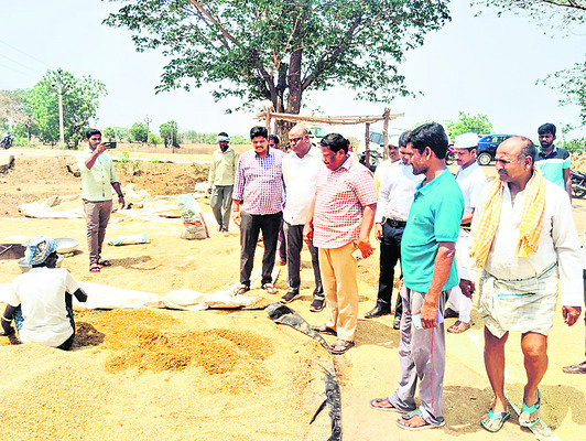 నర్సరీల సంరక్షణకు చర్యలు తీసుకోవాలి
1