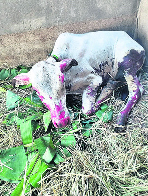 జల్సాలకు అలవాటుపడి.. బైక్‌ చోరీలు
2