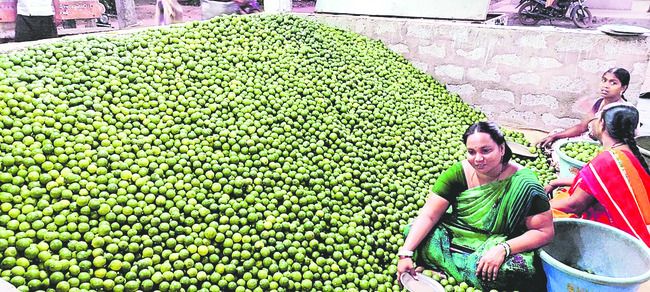 నిమ్మ రైతు కంట చెమ్మ3