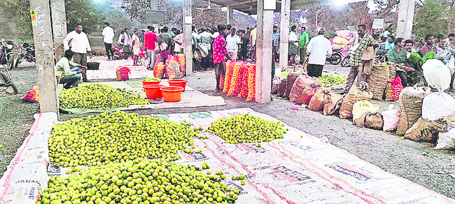 నిమ్మ రైతు కంట చెమ్మ1