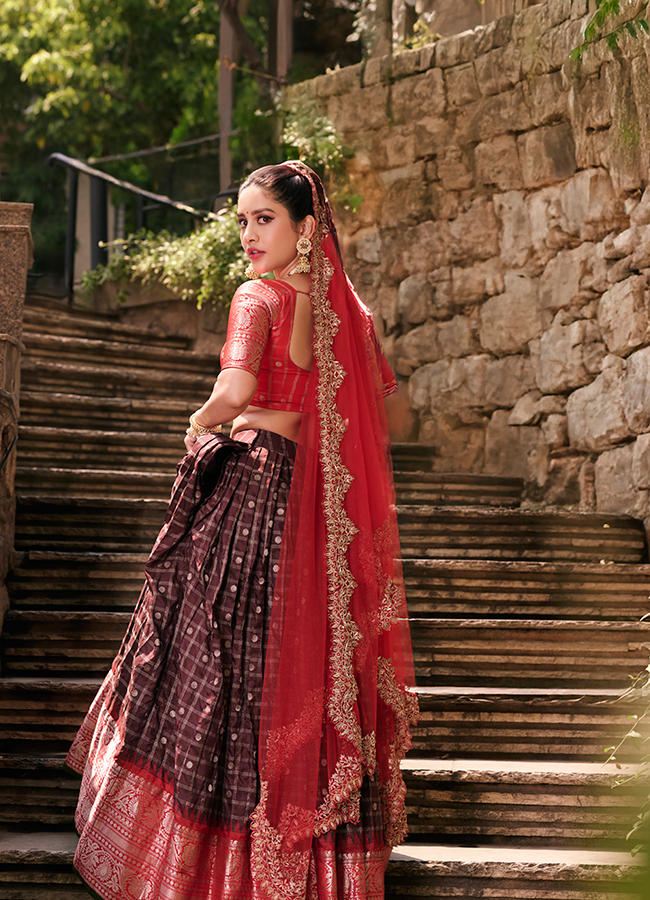 Heroine Nabha Natesh looks like a princess 10