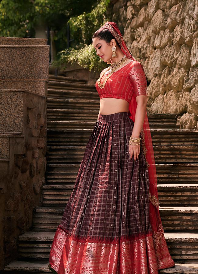 Heroine Nabha Natesh looks like a princess 11