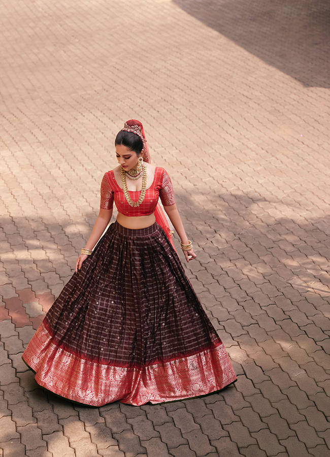 Heroine Nabha Natesh looks like a princess 12