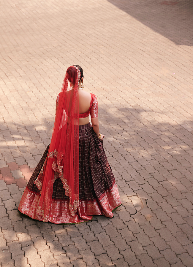 Heroine Nabha Natesh looks like a princess 2
