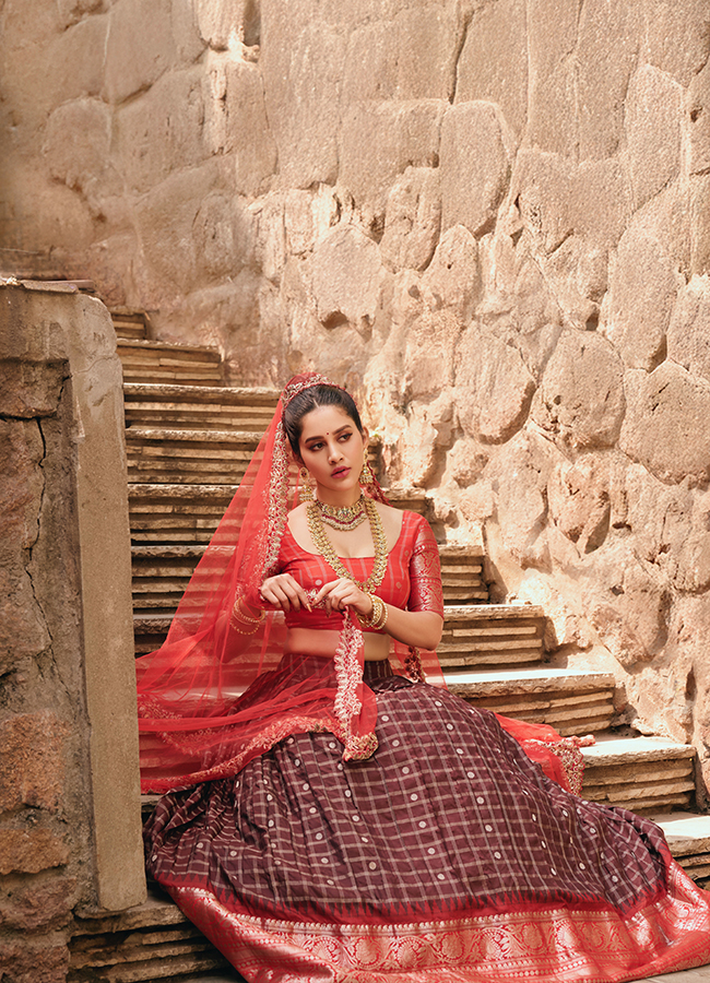 Heroine Nabha Natesh looks like a princess 3