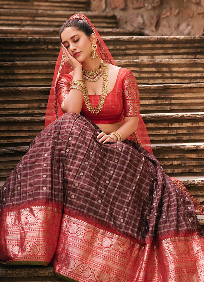 Heroine Nabha Natesh looks like a princess 4