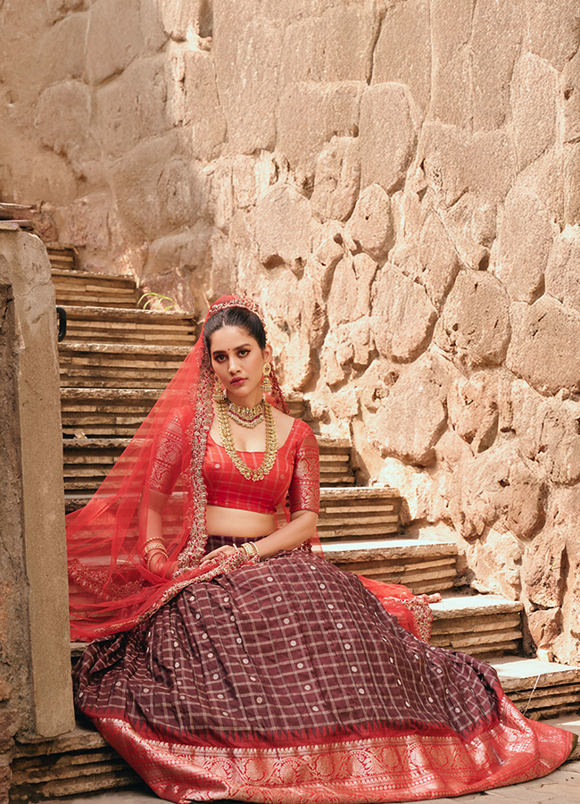Heroine Nabha Natesh looks like a princess 5
