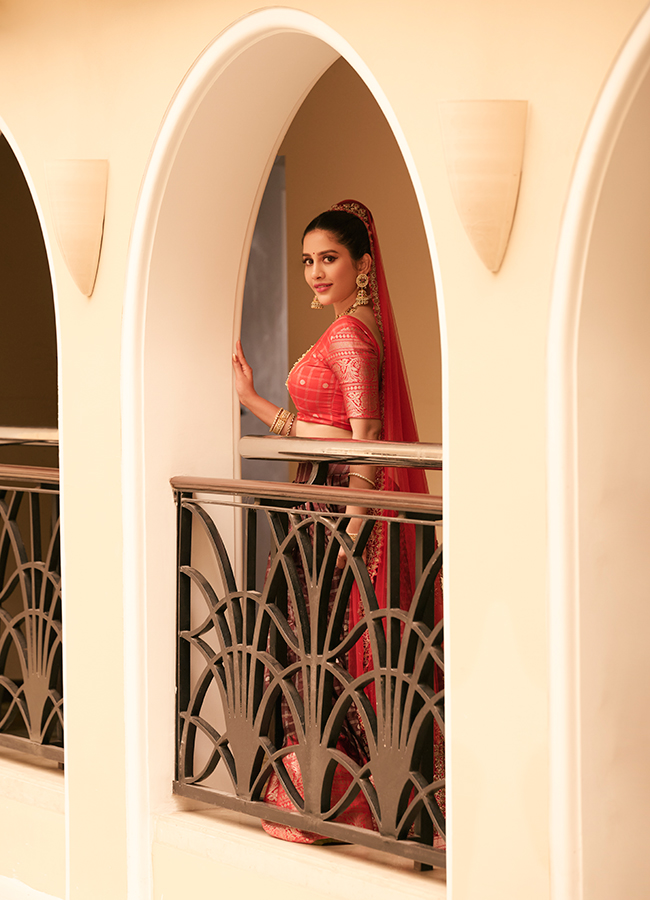 Heroine Nabha Natesh looks like a princess 8