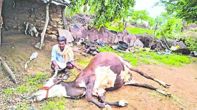 ఎదురెదురు బైకుల ఢీ 1